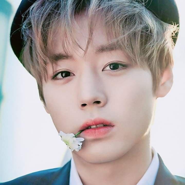 [박지훈] Park Ji-hoon Sells Out 'RE:FLECT' Fan-Con and Promotes New TVING Series