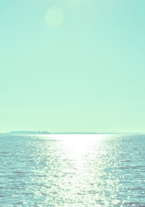 Mint Color Trend
